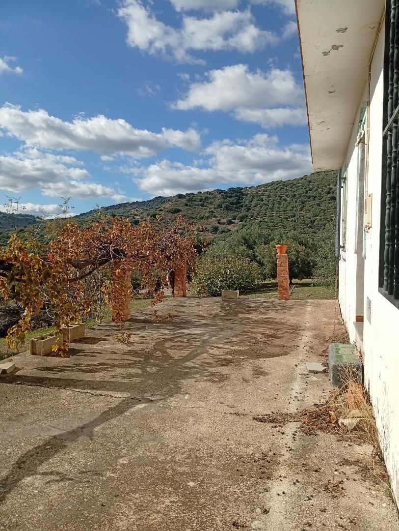 Jardí de Finca rústica en venda en Alfarnatejo