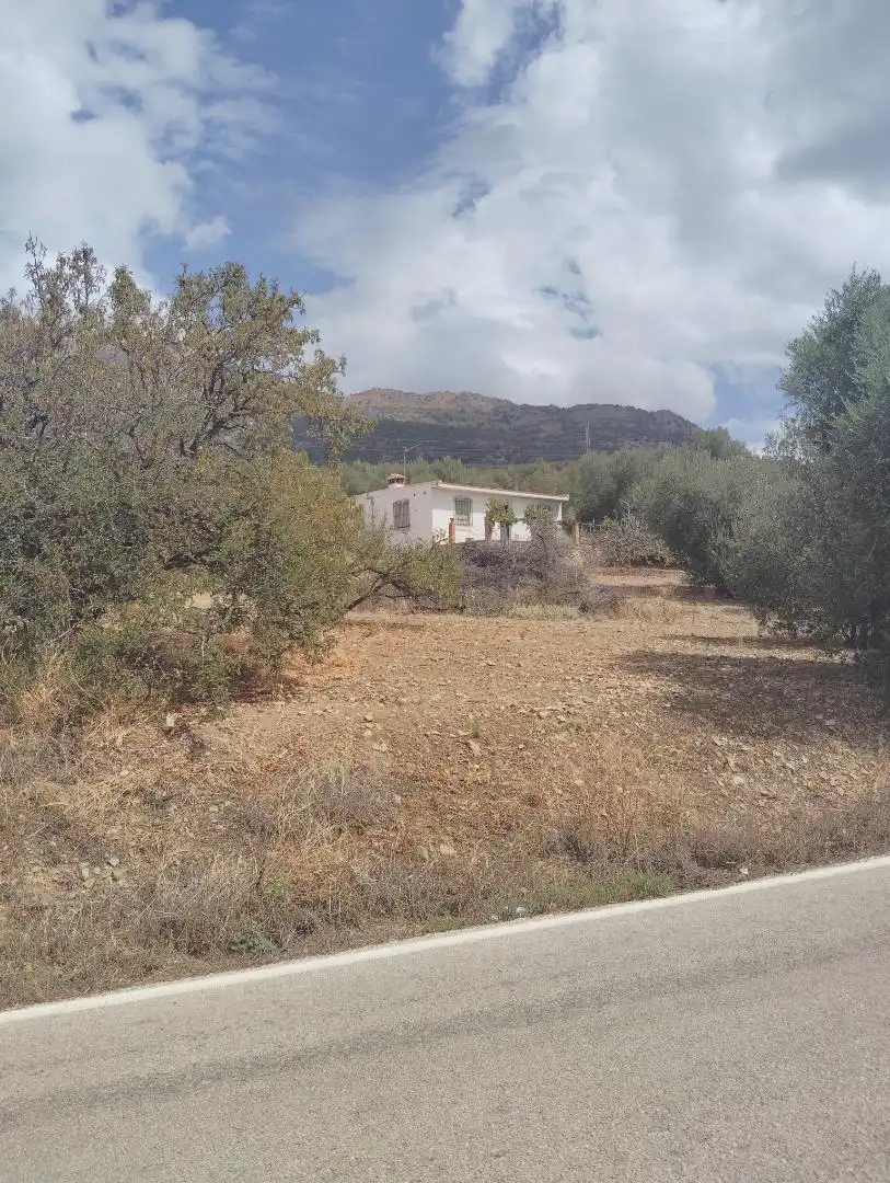 Finca rústica en venta en A-7204, 6, Alfarnatejo Finca rústica en venta en Alfarnatejo