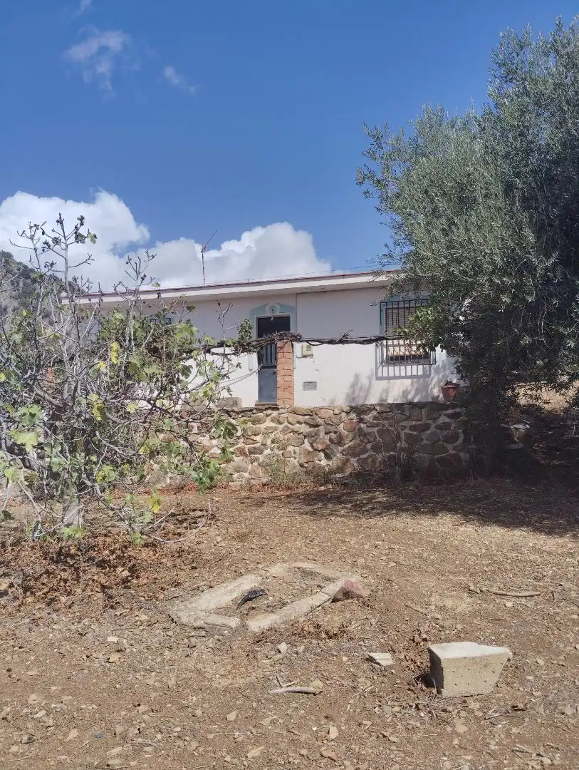 Finca rústica en venta en A-7204, 6, Alfarnatejo Vista exterior de Finca rústica en venta en Alfarnatejo