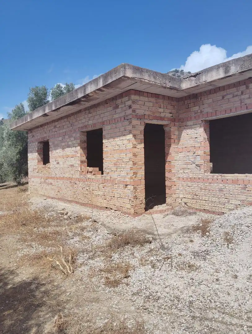 Finca rústica en venta en A-7204, 6, Alfarnatejo Vista exterior de Finca rústica en venta en Alfarnatejo