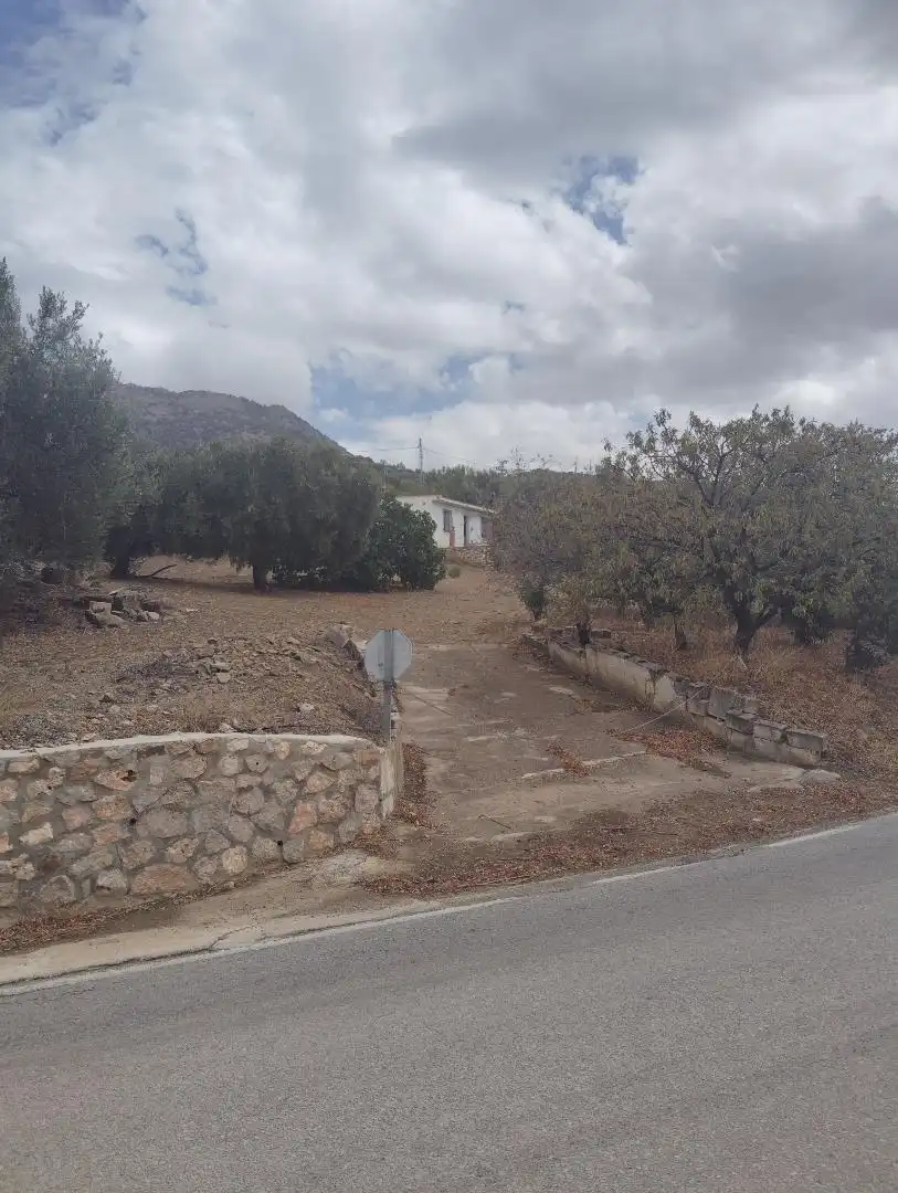 Finca rústica en venta en A-7204, 6, Alfarnatejo Finca rústica en venta en Alfarnatejo