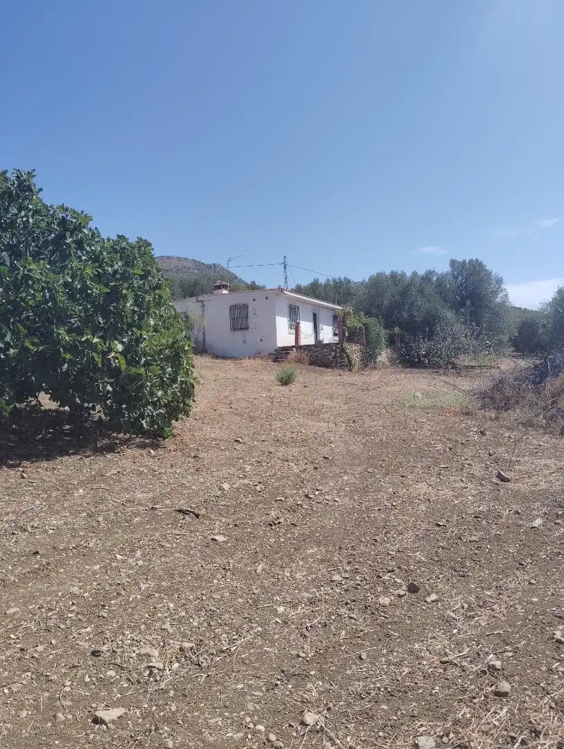 Finca rústica en venta en A-7204, 6, Alfarnatejo Finca rústica en venta en Alfarnatejo