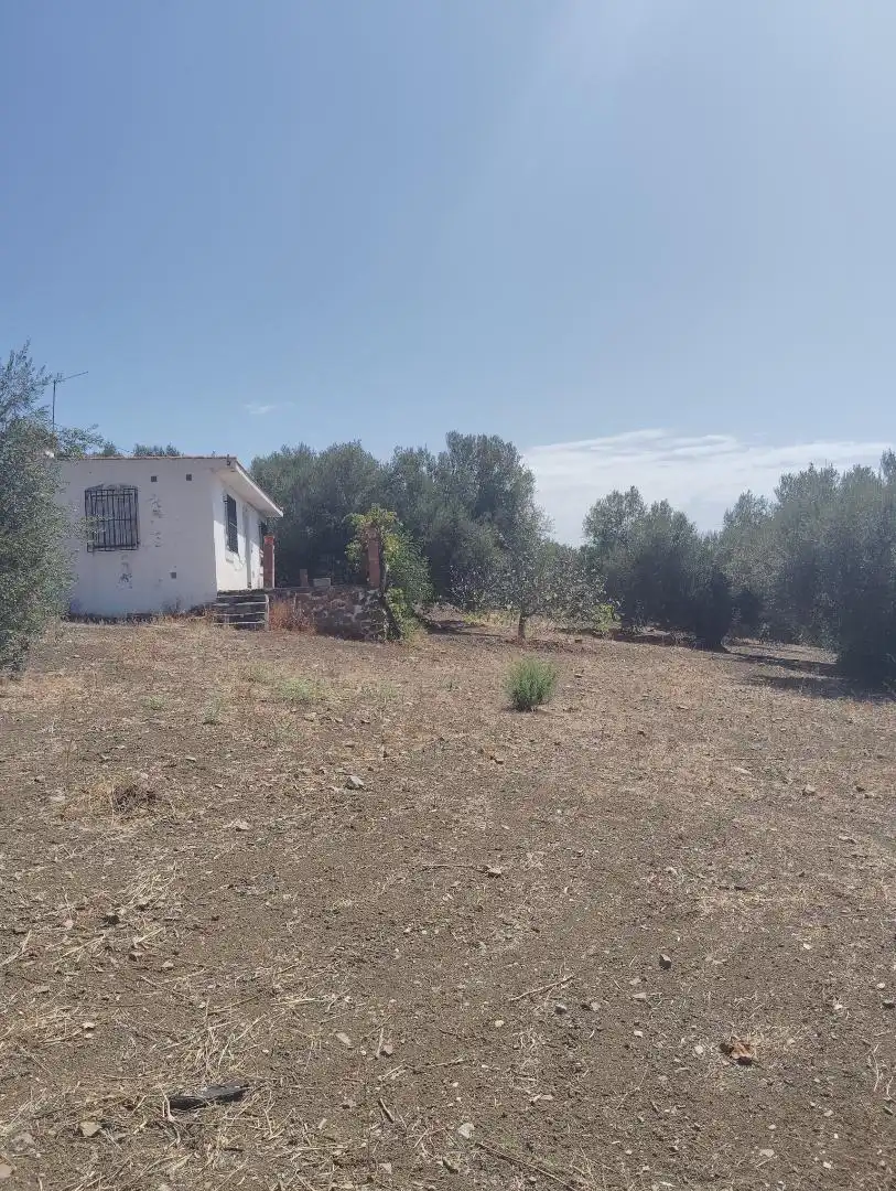 Finca rústica en venta en A-7204, 6, Alfarnatejo Finca rústica en venta en Alfarnatejo