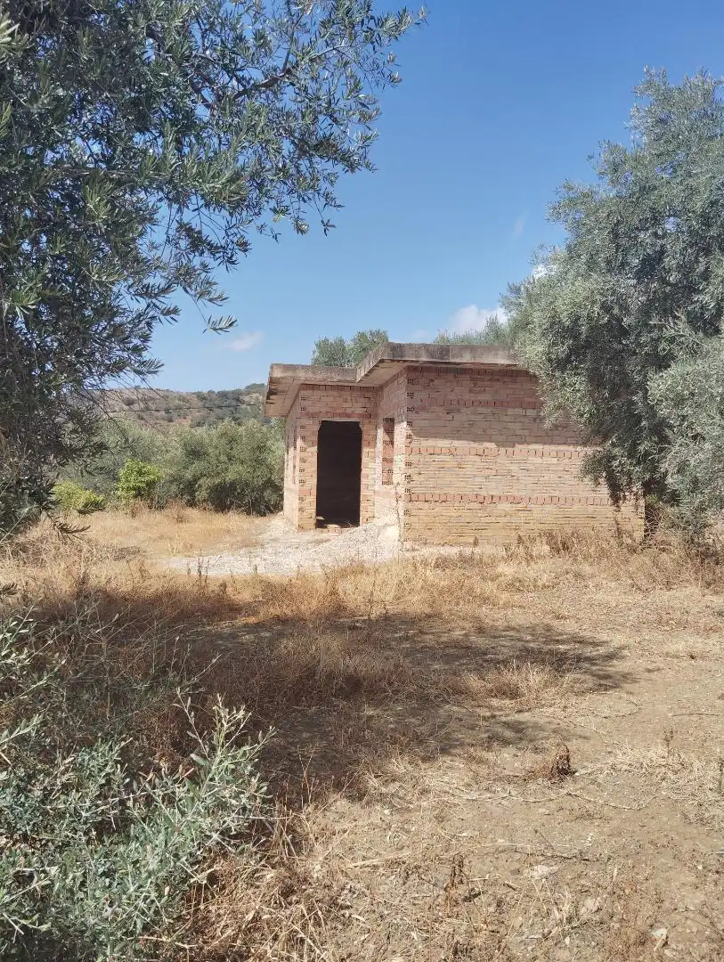 Finca rústica en venta en A-7204, 6, Alfarnatejo Finca rústica en venta en Alfarnatejo