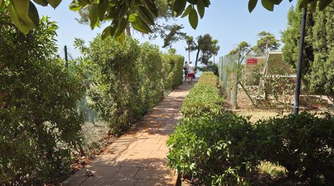 Foto 2 de Estudi de lloguer a Avenida García Peñalver, 78, Centro Internacional, Torrox