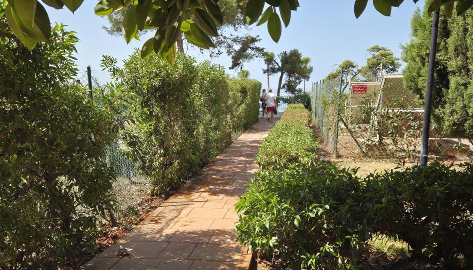 Apartment to rent in Avenida García Peñalver, 78, Centro Internacional, Torrox - image 1 Photo 1 of Apartment to rent in Avenida García Peñalver, 78, Centro Internacional, Torrox