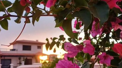 Photo 2 of Single-family semi-detached for sale in Calle Majanicho, 10, Majanicho, La Oliva