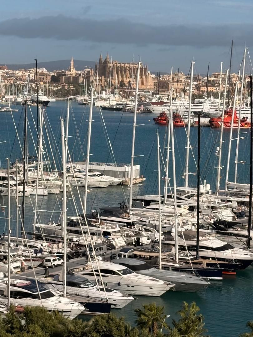 Vista exterior de Pis en venda en  Palma de Mallorca amb Terrassa i Balcó