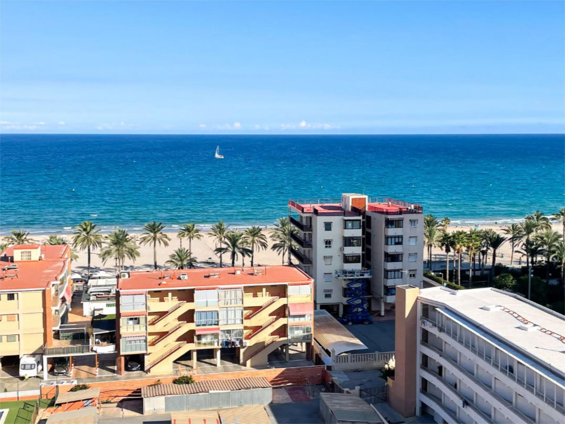 Exterior view of Apartment for rent in Alicante / Alacant  with Terrace, Furnished and Community parking