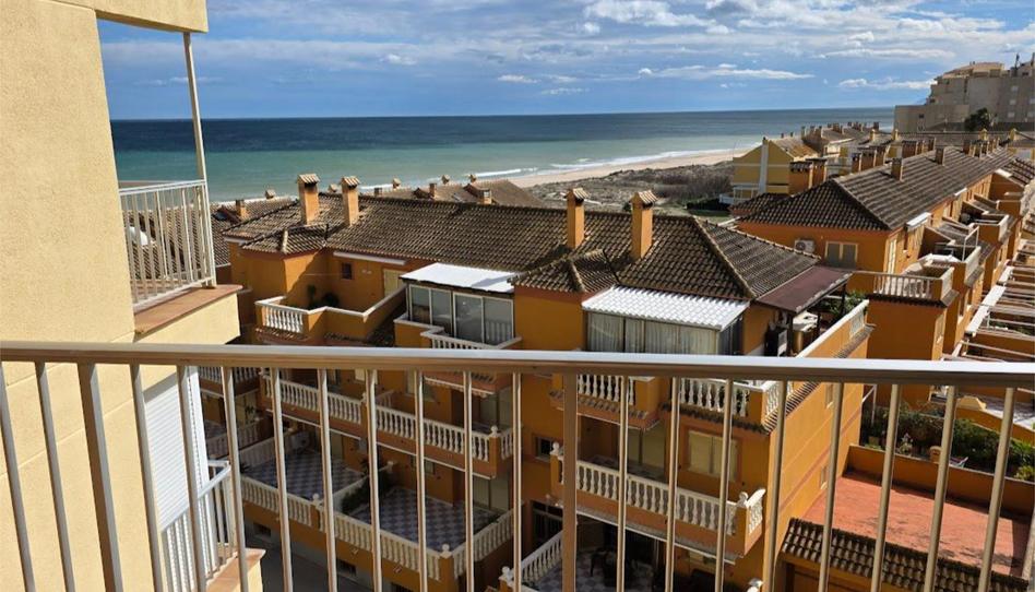 Flat to rent in Passeig de Les Goles, 36, El Perellonet, Valencia Capital - image 1 Photo 1 of Flat to rent in Passeig de Les Goles, 36, El Perellonet, Valencia Capital