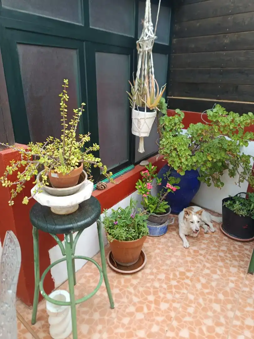 Terrasse von Erdgeschoss zur Miete in Tejeda mit Heizung, Terrasse und Möbliert