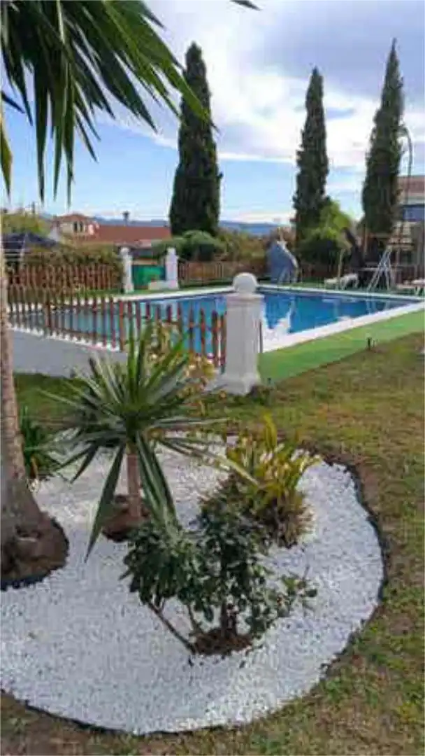 Commercial properties for rent in Manantiales - Lagar - Cortijo Swimming pool of Commercial properties for rent in Alhaurín de la Torre