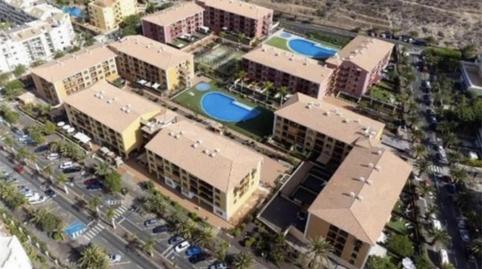 Piso de alquiler en Calle Ruiseñor, 8, Palm - Mar, Arona - imagen 2 Foto 2 de Piso de alquiler en Calle Ruiseñor, 8, Palm - Mar, Arona