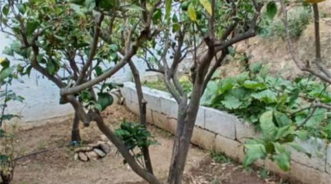 Casa o xalet de lloguer a Calle Lomo Guillén, 7, Santa María de Guía de Gran Canaria, Las Palmas - imatge 3 Foto 3 de Casa o xalet de lloguer a Calle Lomo Guillén, 7, Santa María de Guía de Gran Canaria, Las Palmas