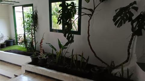 Casa o xalet de lloguer a Calle Lomo Guillén, 7, Santa María de Guía de Gran Canaria, Las Palmas - imatge 4 Foto 4 de Casa o xalet de lloguer a Calle Lomo Guillén, 7, Santa María de Guía de Gran Canaria, Las Palmas