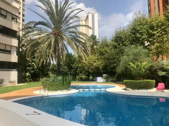 Apartamento en Alquiler en Calle Esperanto, 27 en Levante Alto