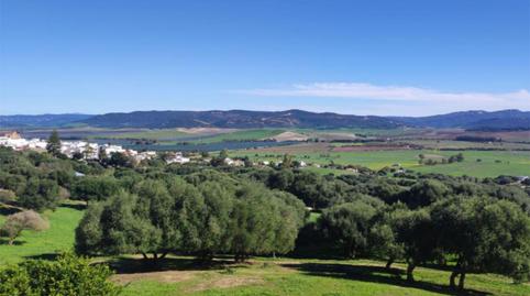 Foto 4 de Casa o xalet en venda a Calle Caballero, 11, Benalup-Casas Viejas, Cádiz
