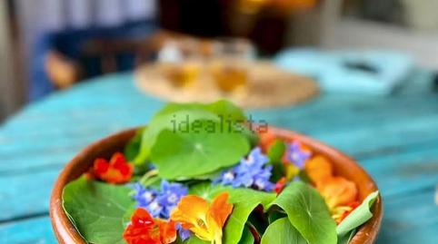 Foto 3 de Finca rústica en venda a Camin de la Bermuria, 419, Santurio, Gijón