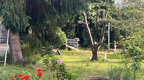 Foto 2 de Finca rústica en venda a Camin de la Bermuria, 419, Santurio, Gijón