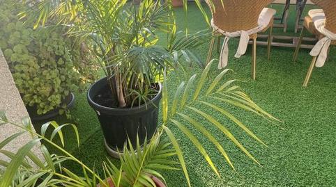 Foto 5 de Pis per a compartir a Costa de Les Germanetes, 6, Bons Aires,  Palma de Mallorca