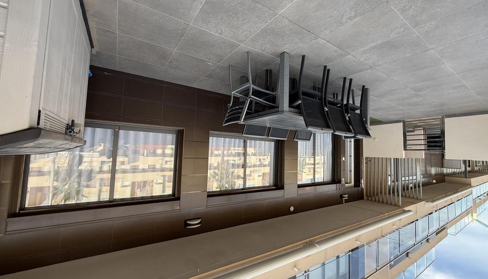 Apartment to rent in Pueblo Latino, Pilar de la Horadada - image 1 Photo 1 of Apartment to rent in Pueblo Latino, Pilar de la Horadada