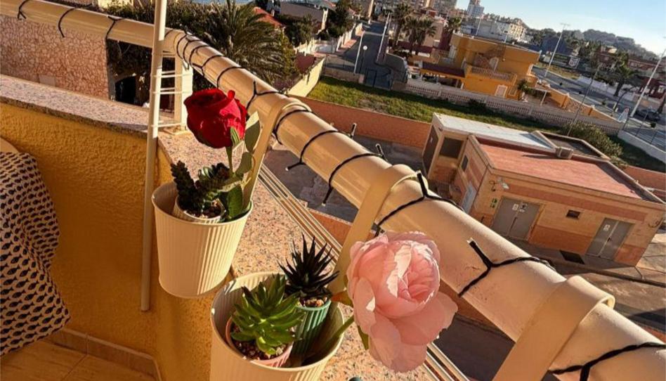 Estudi de lloguer a Gran Vía de la Manga, Km 5, Playa del Galán, La Manga del Mar Menor - imatge 1 Foto 1 de Estudi de lloguer a Gran Vía de la Manga, Km 5, Playa del Galán, La Manga del Mar Menor