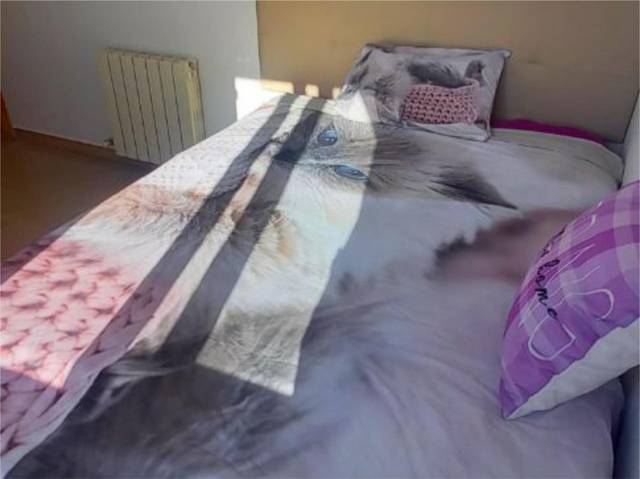 Piso en Venta en Avinguda de Salvador Dalí i Domènech, 13 en Poble Nou - Olivar Gran