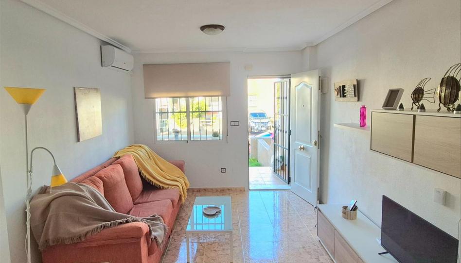 Flat to rent in Calle Jamaica, 395, Villamartín - Las Filipinas, Orihuela - image 1 Photo 1 of Flat to rent in Calle Jamaica, 395, Villamartín - Las Filipinas, Orihuela