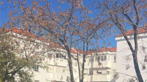 Foto 2 de Pis de lloguer a Barrio Alto, San Juan de Aznalfarache