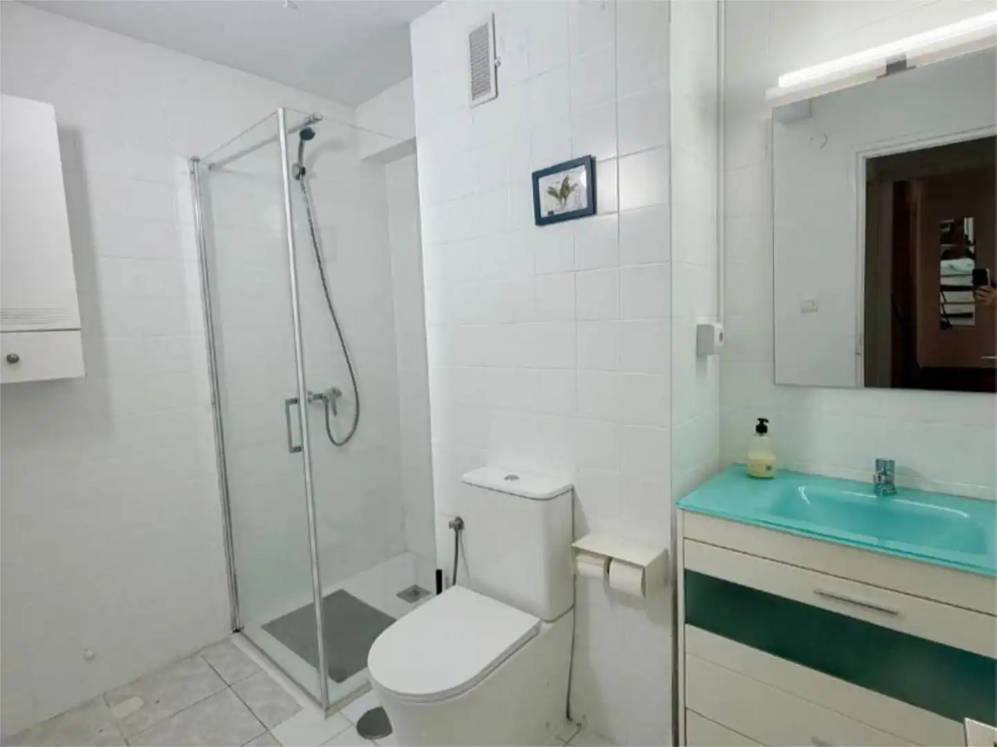 Baño de Piso para compartir en Alicante / Alacant con Terraza, Amueblado y Balcón