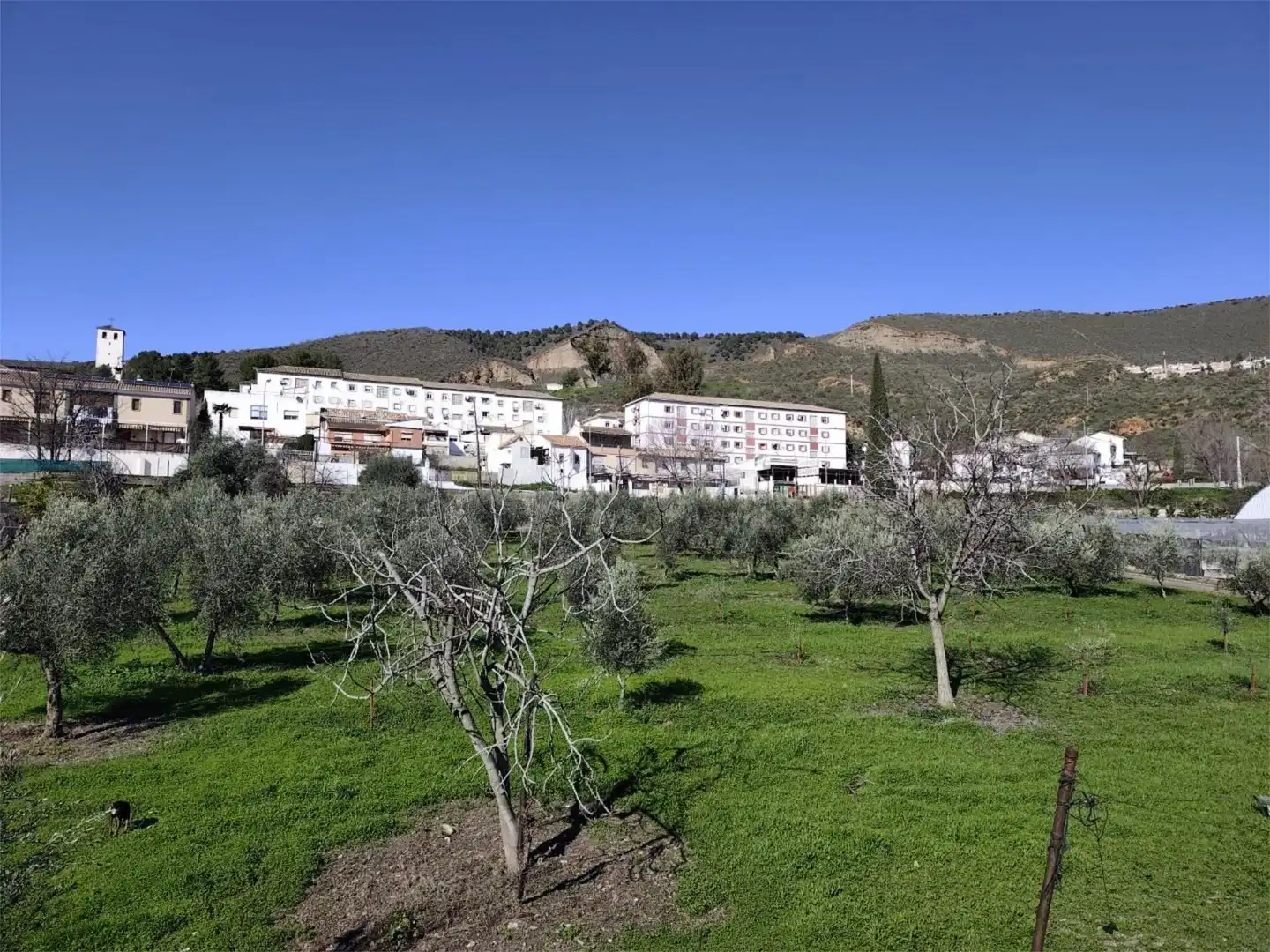 Country homes for sale in Carretera de la Sierra, 180, Lancha del Genil Exterior view of Country homes for sale in Granada with Private garden, Terrace and Storage room