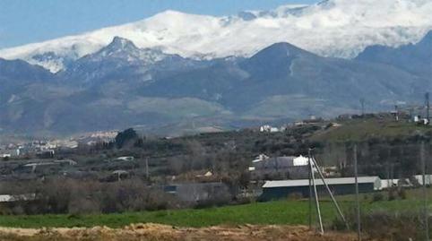 Foto 4 de Finca rústica en venda a Plaza de Espana, 28, Ayuntamiento, Alhendín