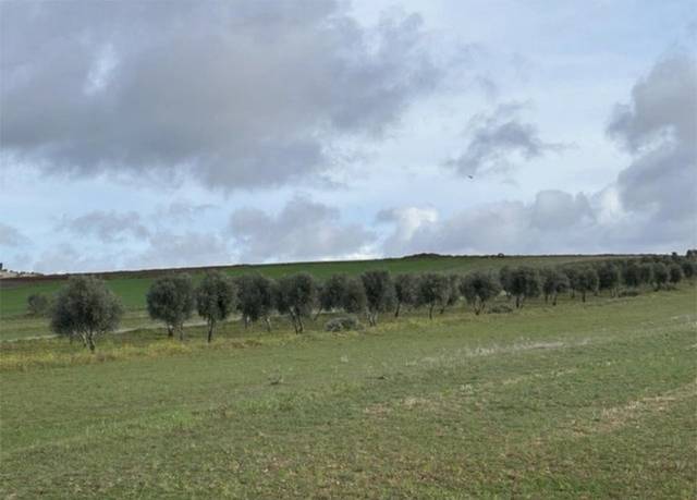 Terreno en Venta en Calle del General Aguilera, 13 en Valenzuela de Calatrava