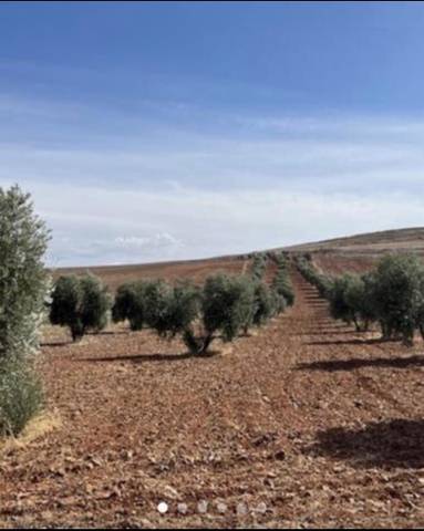 Terreno en Venta en Calle del General Aguilera, 13 en Valenzuela de Calatrava