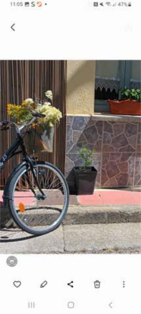 Exterior view of House or chalet to rent in Cubillos del Sil  with Furnished