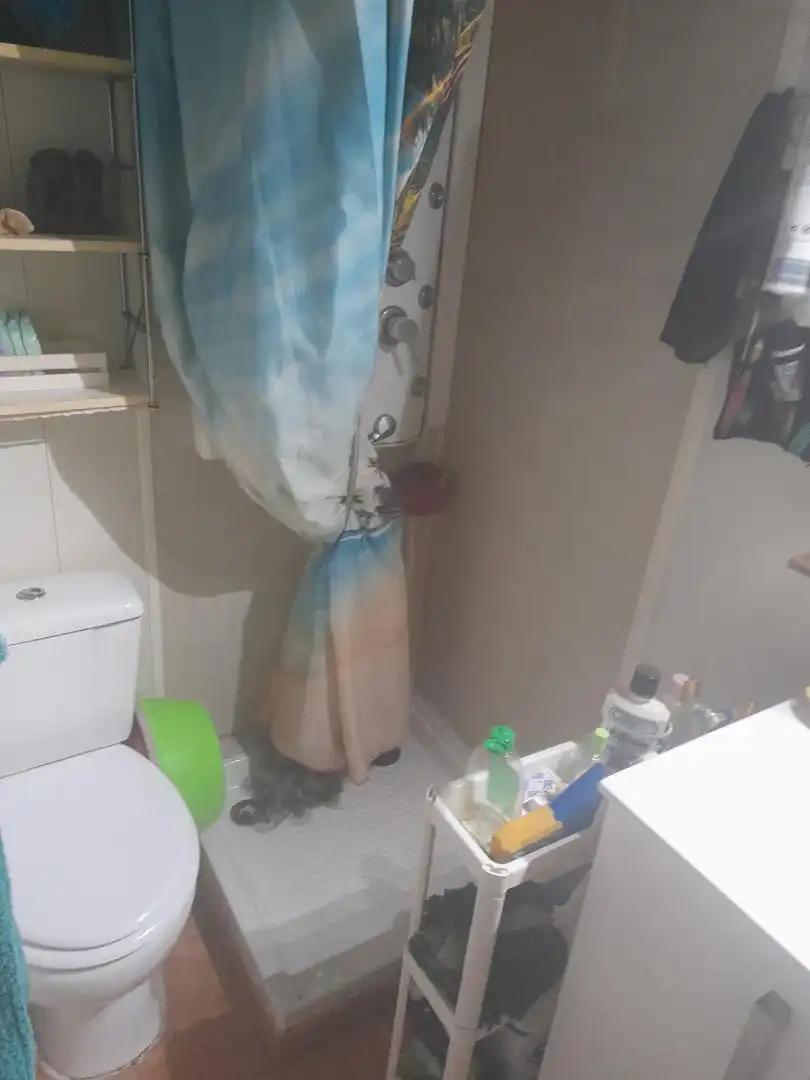 Loft en venda a Carrer de Mart, 36, La Mina Bany de Loft en venda en Sant Adrià de Besòs