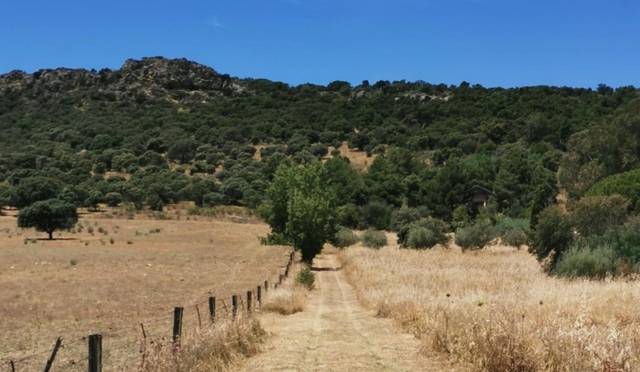 Terreno en Venta en Avenida Isabel de Moctezuma, 33 en Valdesalor - Rincón de Ballesteros