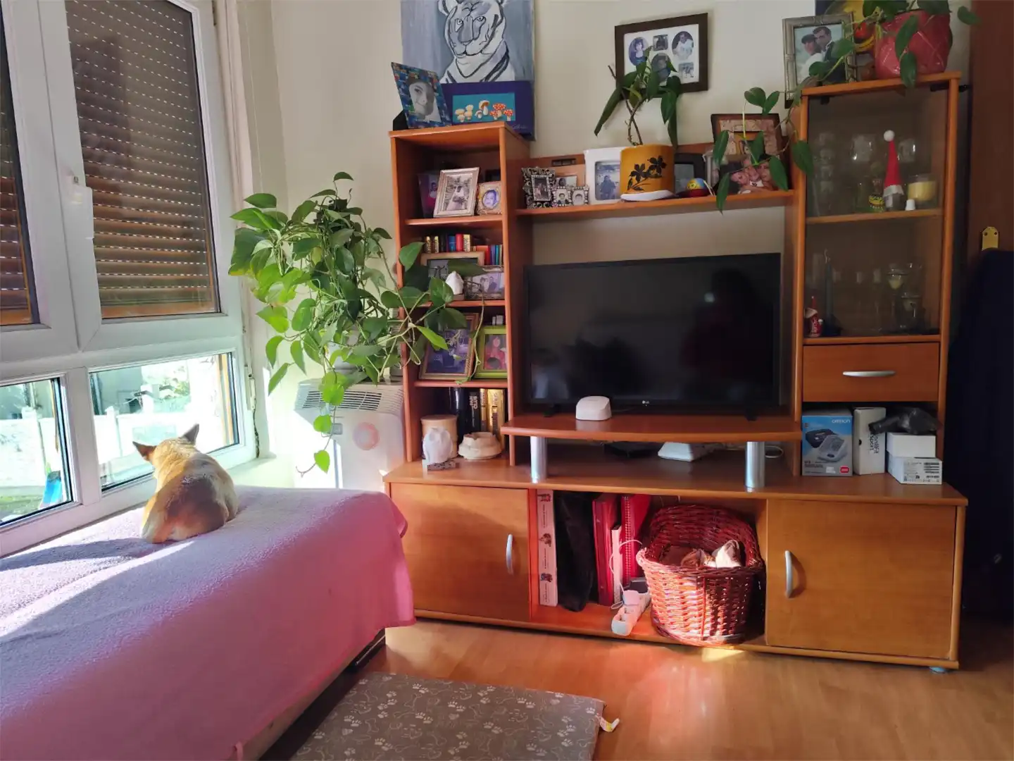 Detached homes for sale in Calle Cine, 7, Santa Marina - Polígono Living room of Detached homes for sale in Mieres (Asturias) with Air Conditioner, Heating and Private garden