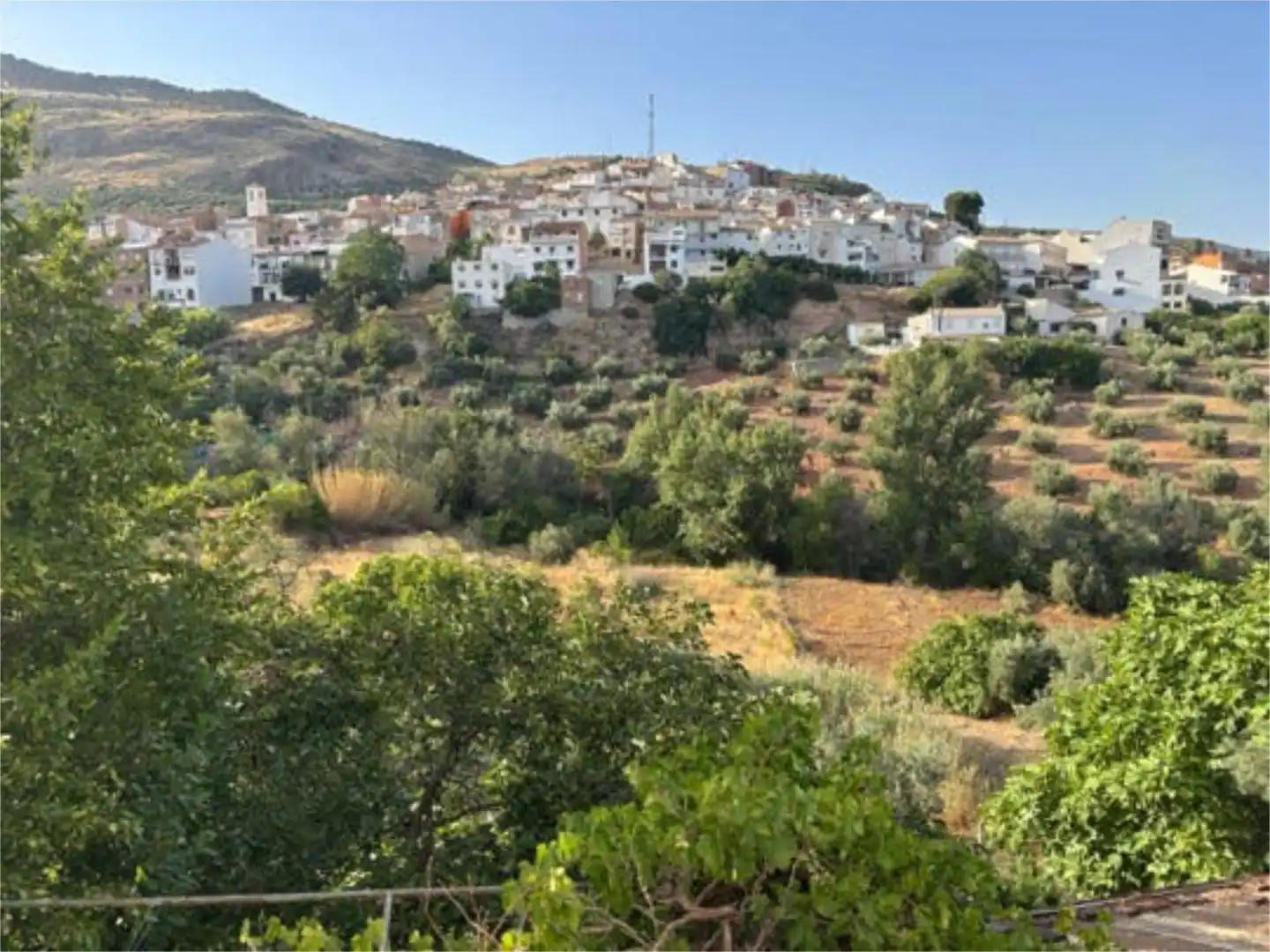 Vista exterior de Casa o xalet en venda en Bélmez de la Moraleda