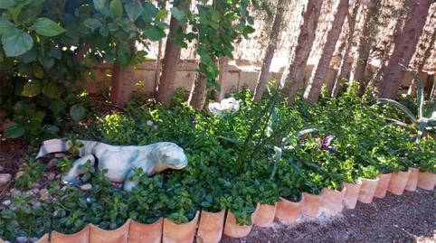 Foto 5 de Finca rústica en venta en Barrio Callosilla, 1, Callosa de Segura, Alicante