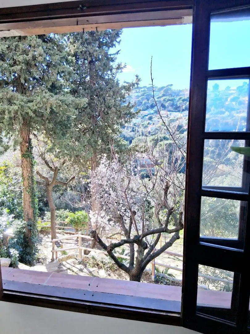 Jardí de Casa o xalet en venda en Argentona