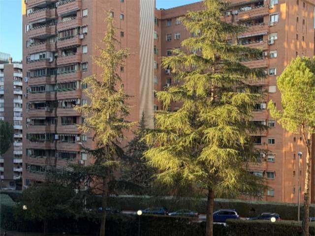 Piso en Venta en Calle de Julio Palacios, 29 en La Paz