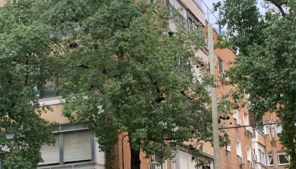 Pis en venda a Calle Felipe II, 17, El Porvenir, Sevilla Capital - imatge 1 Foto 1 de Pis en venda a Calle Felipe II, 17, El Porvenir, Sevilla Capital