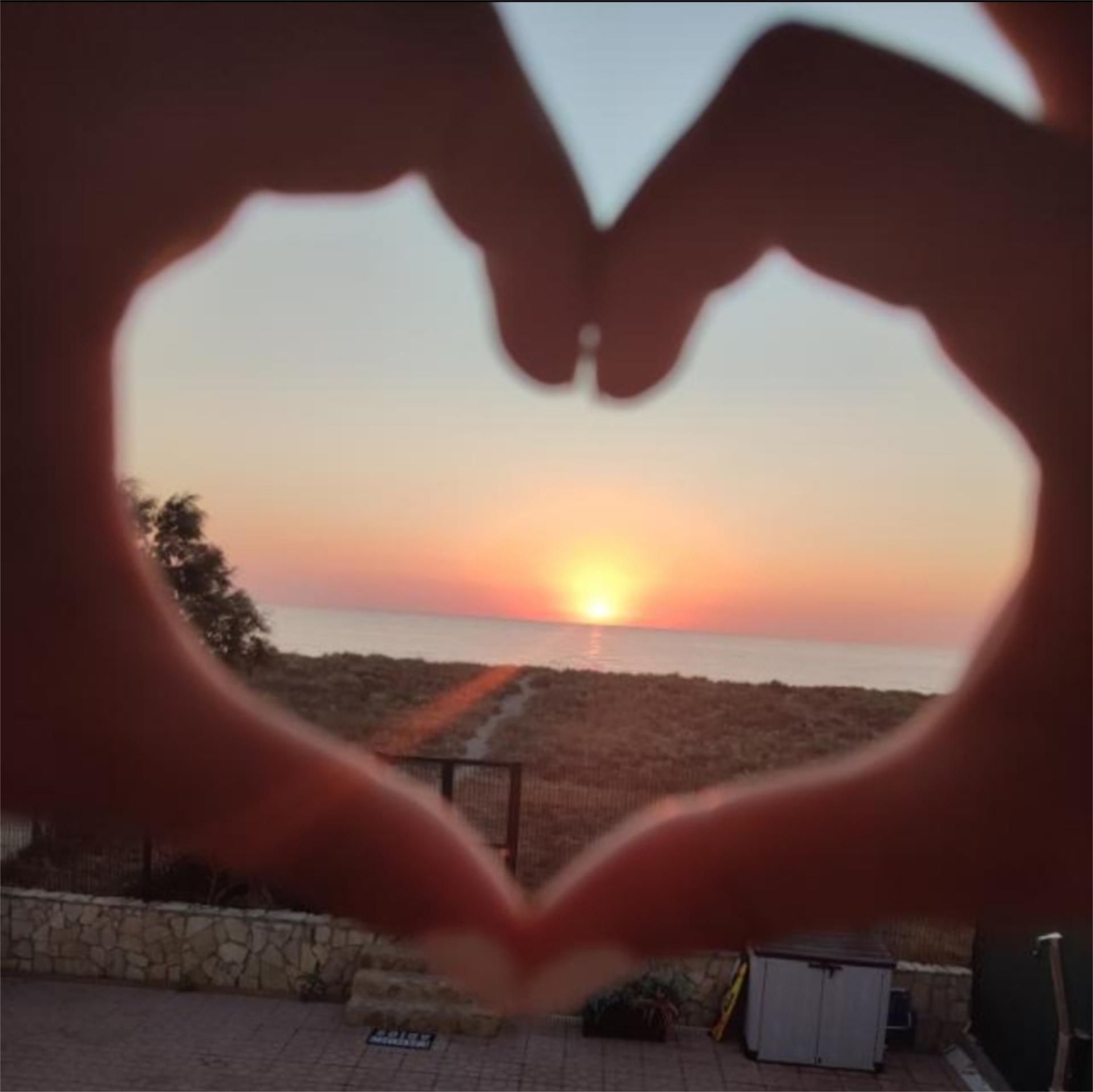 Vista exterior de Casa o xalet de lloguer en Tavernes de la Valldigna amb Terrassa, Piscina i Moblat