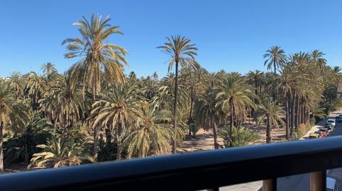 Pis de lloguer a Calle Miguel Miralles Jorge, 22, El Raval - Portes Encarnades, Elche / Elx - imatge 4 Foto 4 de Pis de lloguer a Calle Miguel Miralles Jorge, 22, El Raval - Portes Encarnades, Elche / Elx