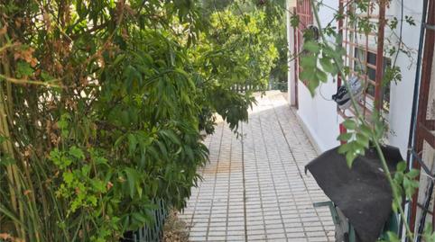 Flat for sale in Calle Casillas, 10, La Carlota, Córdoba - image 3 Photo 3 of Flat for sale in Calle Casillas, 10, La Carlota, Córdoba