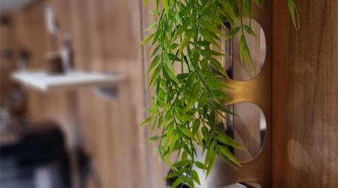 Pis en venda a Avinguda del Romaní, 5, Can Picafort, Santa Margalida - imatge 4 Foto 4 de Pis en venda a Avinguda del Romaní, 5, Can Picafort, Santa Margalida