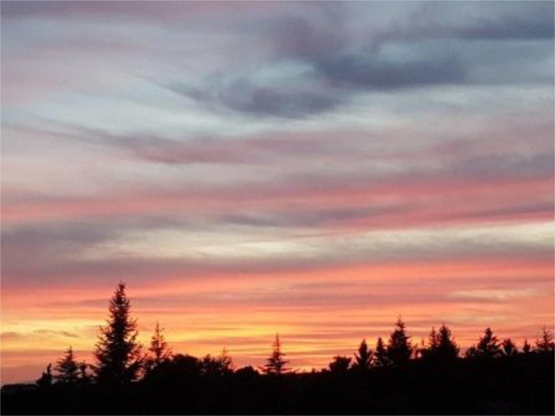 Vista exterior de Casa o xalet en venda en Herradón de Pinares amb Calefacció, Jardí privat i Parquet