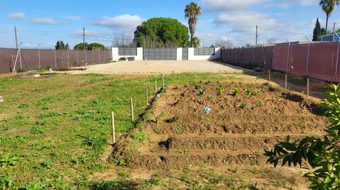 Photo 3 of Country house for sale in Hijuela de las Rosas, 6, Parque Atlántico - Ronda este, Jerez de la Frontera