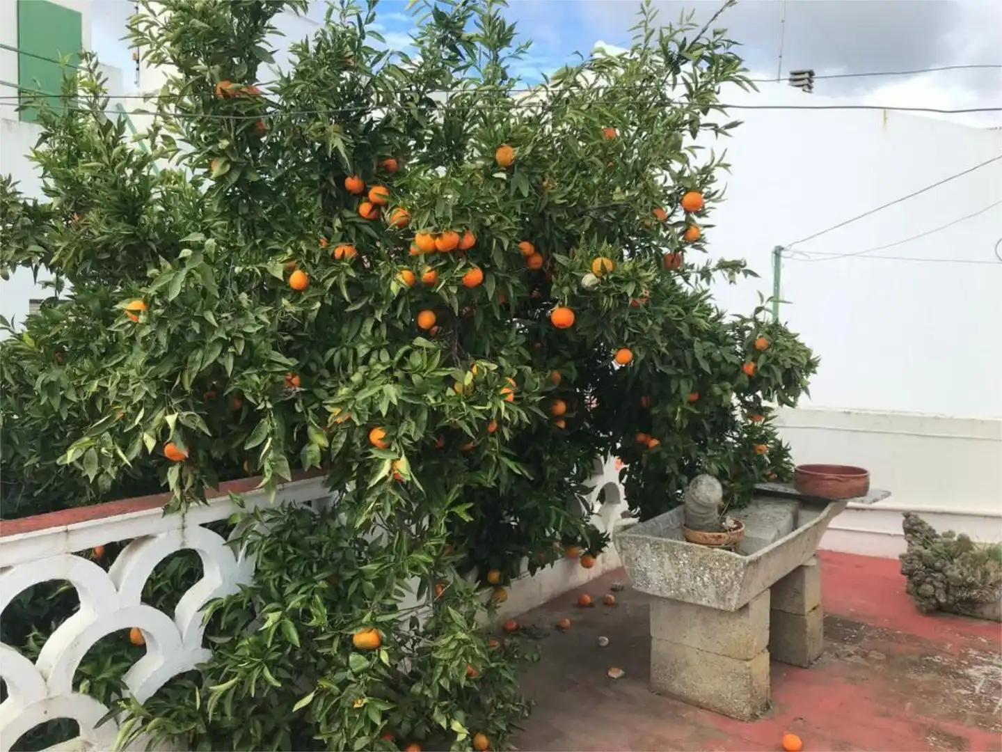 Garden of Houses for sale in Olivenza  with Heating, Terrace and Furnished